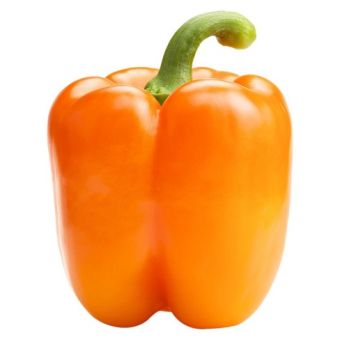 ORANGE PEPPER- 5.2 KG02